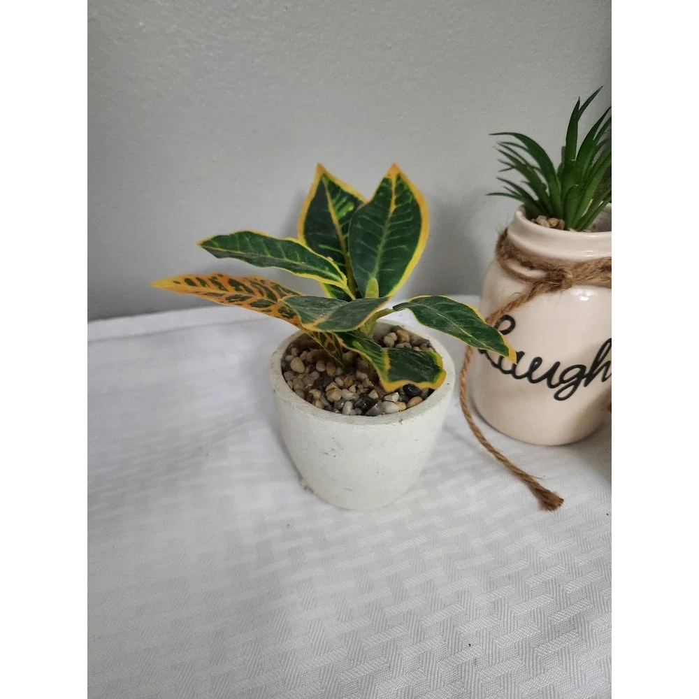 Set of 3 Artificial Plants Succulents in Pots Laugh Ceramic Jar Decor Greenery